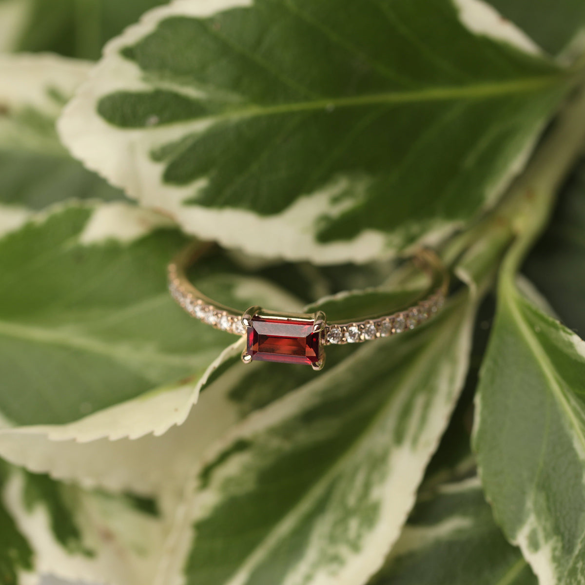 Women's yellow gold ring set with a centrally placed red baguette cut garnet gemstone, with diamonds, displayed on a variageted leaf.